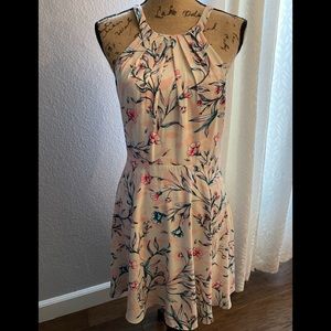 Express medium dress